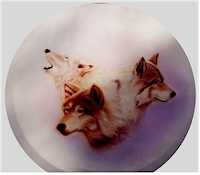 Ihr individuelles Reserveradcover