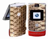 Airbrush_Handy Airbrush Design auf Handy Motoroller V3Raza Unrath & Strano