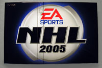 Airbrush Design NHL 2005 auf Sony Playstation two_PS2