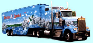 Airbrushdesign F�rstina Promotion-Truck